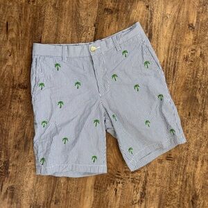 “The Skippack” Seersucker Men’s Shorts with Green Palm Trees